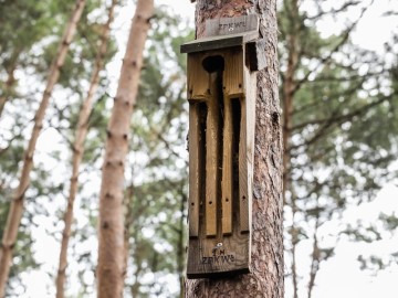 Letnie działania w Przedborskim Parku Krajobrazowym 2025, 